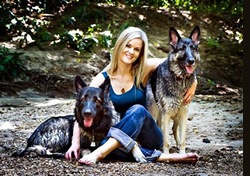 durham Dog Trainers